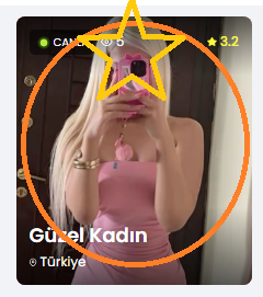Favori Model